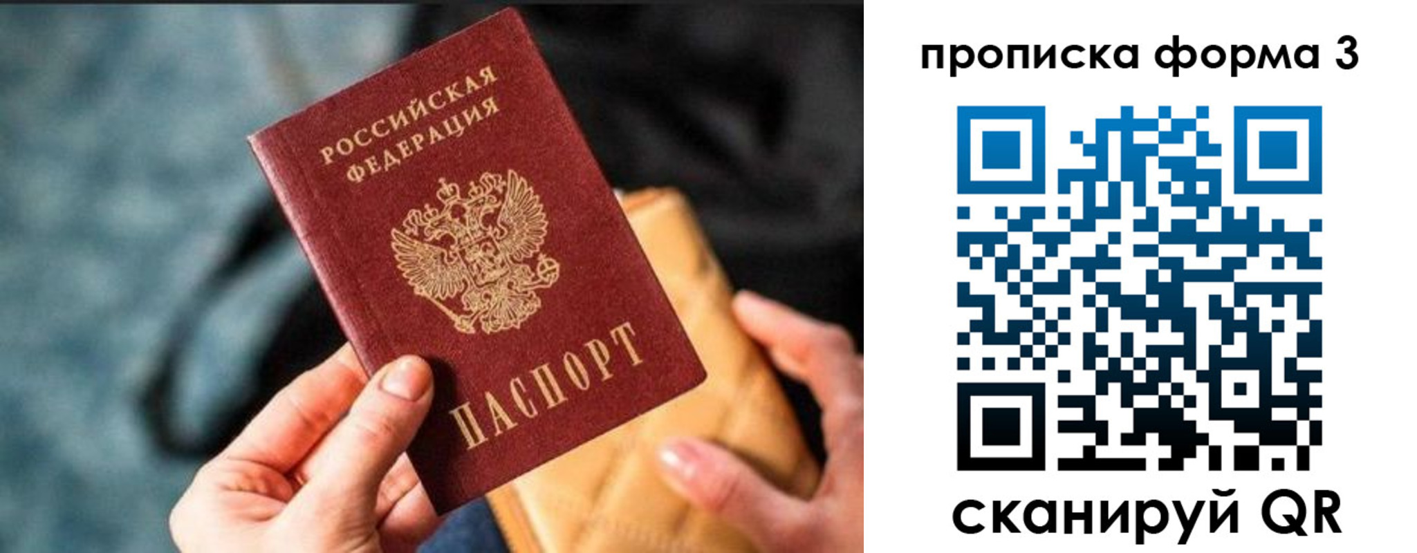 прописка гарантия в Палласовке